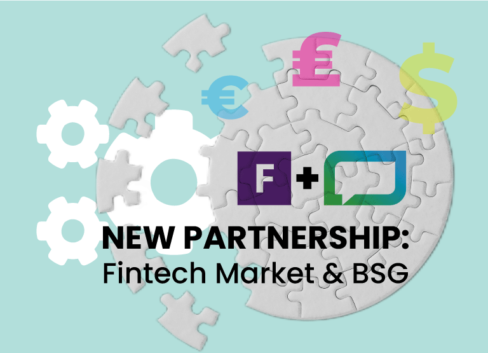 fintech and bsg
